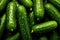 Fresh cucumbers with sparkling waterdrops. Generative AI