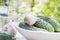 Fresh cucumbers in white pot with flowers dill and garlic