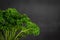 Fresh curled leaf parsley isolated on a dark background