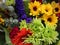 Fresh cut assorted colorful flower bouquets, Canada, 2018