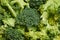 Fresh cut broccoli flowers.