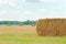 Fresh cut straw in a field