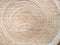 Fresh cut of a tree. Annual rings on wood. A round piece of wood