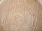Fresh cut of a tree. Annual rings on wood. Wood interior texture background