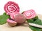 Fresh cutting Chioggia beets