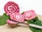 Fresh cutting Chioggia beets