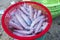 Fresh cuttlefish are caught in the fish market.