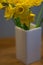 Fresh daffodil or narcissus in a white vase with wooden background