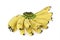 Fresh dainty banana on white background