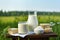 Fresh dairy products, milk, different cheese on wooden tabletop and blurred landscape. Generative AI