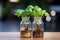 Fresh decor Tricolor Nephthytis in glass bottles, a vibrant air purifying plant