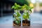 Fresh decor Tricolor Nephthytis in glass bottles, a vibrant air purifying plant