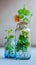 Fresh decor Tricolor Nephthytis in glass bottles, a vibrant air purifying plant