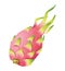 fresh and delicious dragon fruit