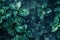 Fresh Dew Drops on Vibrant Green Leaves with Mysterious Moody Blue Tones in an Enchanted Forest Setting Nature Background for Calm