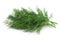 Fresh dill