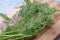 Fresh dill branches landscape side crop