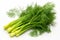 fresh dill close-up, ai generated