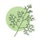 Fresh dill hand drawn icon