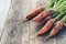 Fresh dirty carrots are lying on an old wooden table