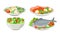 Fresh Dishes with Salmon Slab and Vegetable Salad in Bowl Vector Set