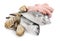 Fresh dorado fish, octopus, oysters and shrimps on white background