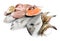 Fresh dorado fish, octopus, shrimps, oyster and salmon on white background