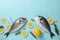 Fresh Dorado fishes, salt, lemon and rosemary on background, space for text