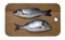 Fresh dorado and sea bass fish on wooden cutting board