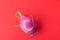 Fresh dragon fruit isolated on red background