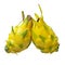 Fresh dragon yellow shell fruit