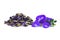 Fresh and dried butterfly pea, blue pea, clitoria ternatea