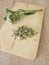 Fresh and dried yarrow herbs