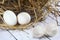 Fresh duck eggs and empty eggshell