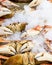 Fresh Dungeness crab on ice