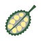 fresh Durian fruit icon