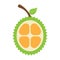 fresh Durian fruit icon