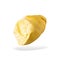 Fresh Durian Fruit isolated over white background