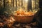 Fresh edible chanterelle mushrooms in a basket in a forest clearing, warm sunlight