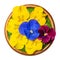 Fresh edible flowers, horned pansy over field salad leaves in wooden bowl