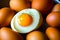 fresh egg from chicken with egg yoke generated by ai
