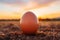 Fresh Egg Up Close: Sunrise Farm Backdrop. AI