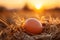 Fresh Egg Up Close: Sunrise Farm Backdrop. AI