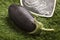 Fresh eggplant on grass with black sign