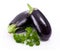 Fresh eggplant with parsley