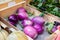 Fresh eggplants, aubergine vegetables on street market in Proven