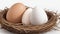 Fresh Eggs in a Nest: Crisp White Background Photography.