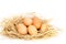 Fresh eggs on rice straw on white background