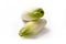 Fresh Endive or Chicory Cichorium endivia isolated with shadows on a white background, copy space
