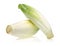 Fresh endive on white background